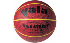 Баскетбольный мяч Wild Street 7