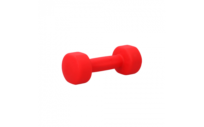 Гантель для аэробики неопреновая PRCTZ NEOPRENE DUMBBELL, 3 кг.