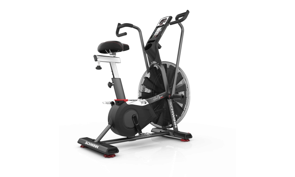 Schwinn Airdyne AD8